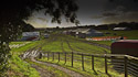 Honiton Show